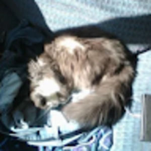 Meet your Posher, Hannah